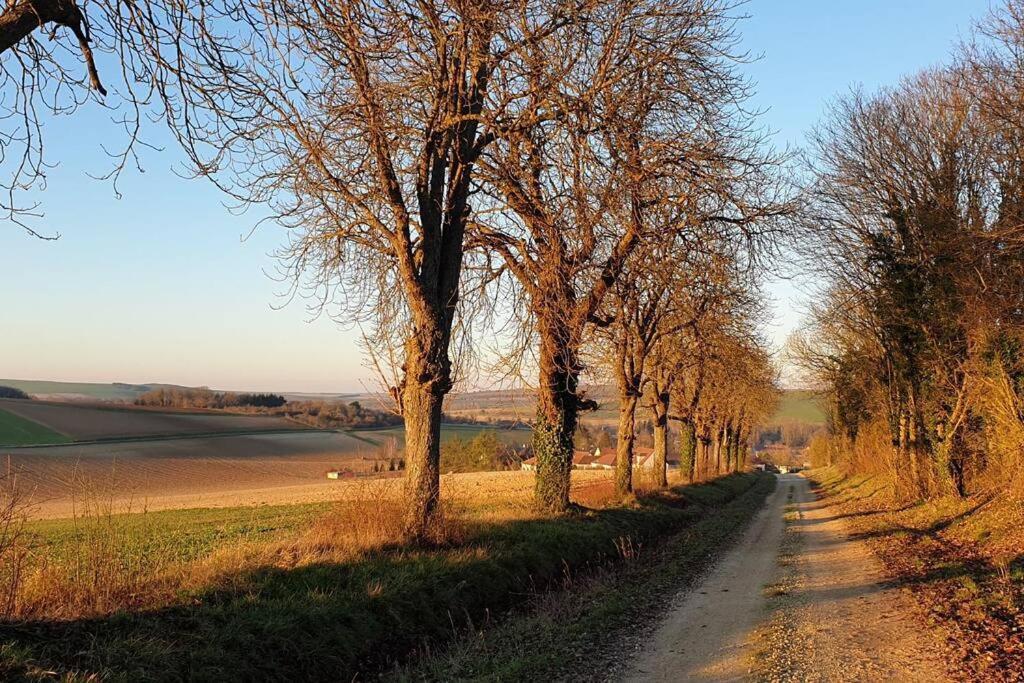 Estissac Le Bellevue A 1 H 30 De Paris Et 20 Km De Troyes 빌라 외부 사진